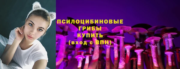 Альфа ПВП Бронницы